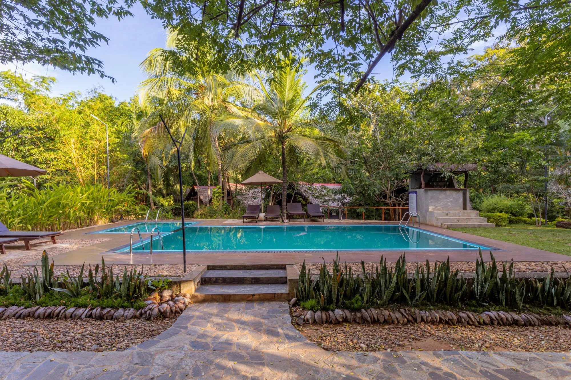 Hotelpool mit vielen Bäumen außenherum